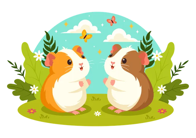 Guinea Pig  Illustration