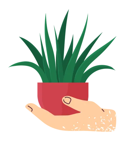 Hand holding house plant  Illustration