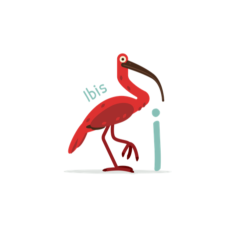 Je pour ibis  Illustration