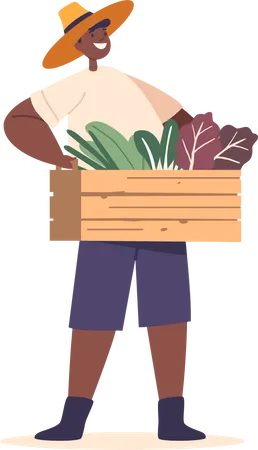 Joyful Child Farmer Holds A Box Brimming With Fresh Greens  일러스트레이션