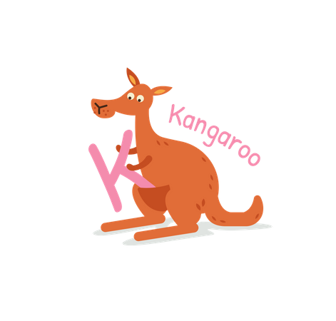 Kangaroo  Illustration