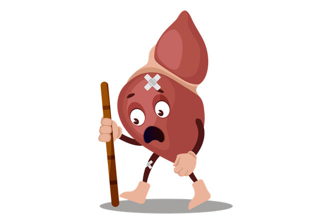 Liver is injured  Illustration