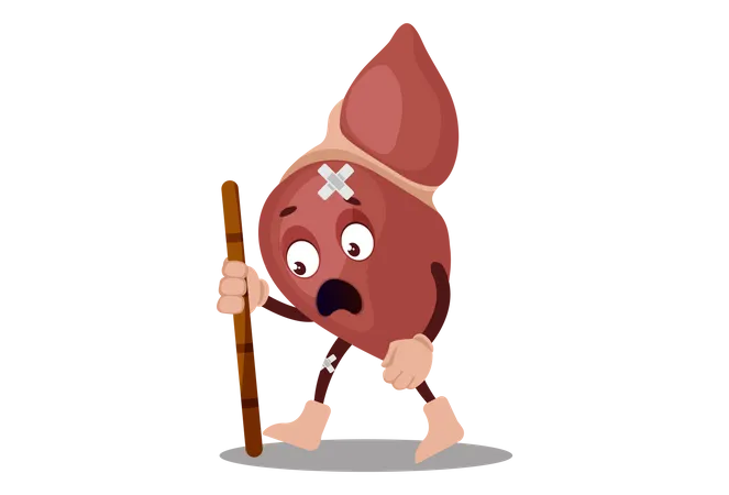 Liver is injured  Illustration