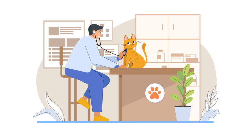 Male veterinary doctor checking pet health  Illustration