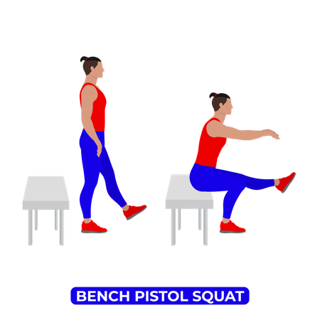 Man Doing Bench Pistol Squat Exercise  Illustration