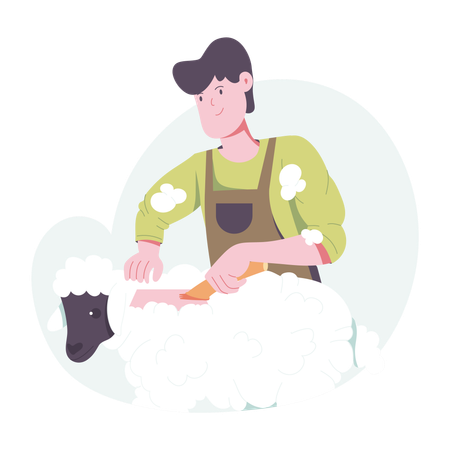 Man doing Sheep Shearing  Illustration