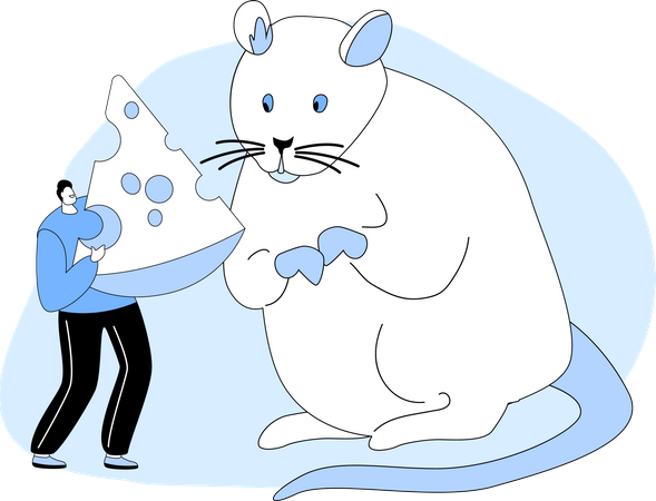 Man Giving Piece of Cheese to Huge White Mouse  イラスト