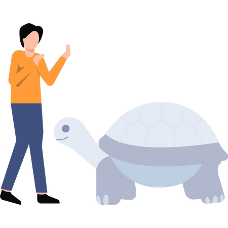 Man looking at turtle  Illustration