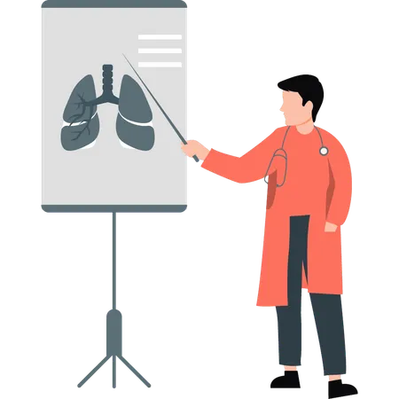 Médico presenta informe de diagnóstico de pulmones humanos  Ilustración