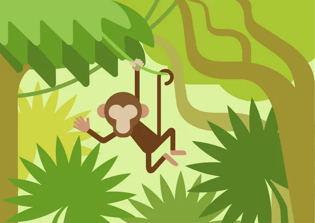 Monkey  Illustration