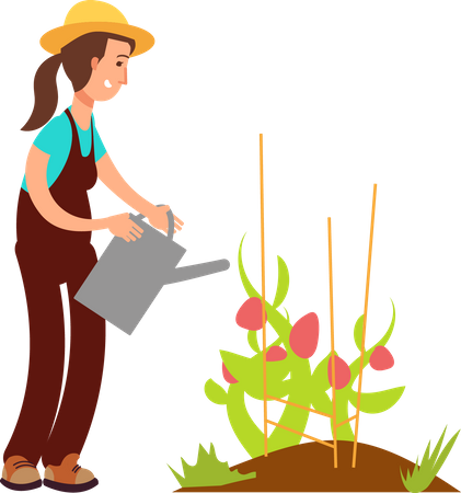 Agricultora regando planta  Ilustração