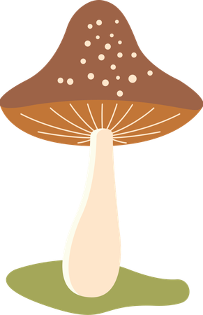 Mushroom Polka  Illustration