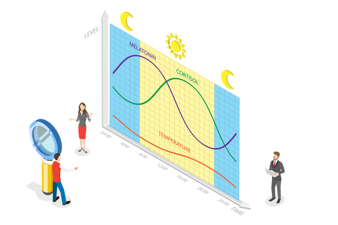 Natural Cycle for Healthy Sleep and Routine  Illustration