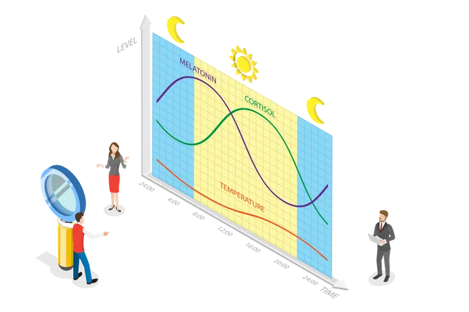 Natural Cycle for Healthy Sleep and Routine  Illustration