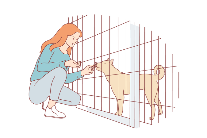 La muchacha está alimentando al perro en el zoológico  Ilustración