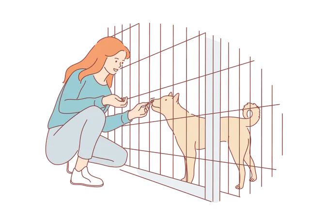 La muchacha está alimentando al perro en el zoológico  Ilustración