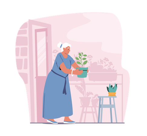 Old Lady Carry Flower Pot  Illustration