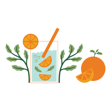 Orange mint with leaves and fruits  イラスト