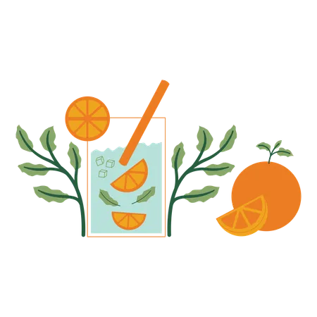 Orange mint with leaves and fruits  イラスト