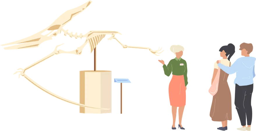 Paleontology museum tourist  Illustration