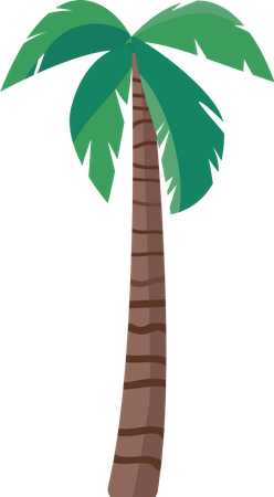 Palm tree  일러스트레이션