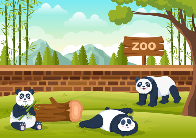 Panda in zoo  イラスト