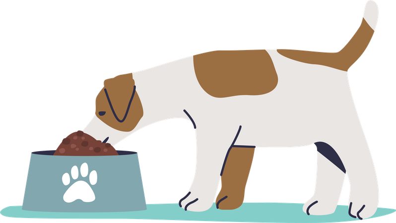 Perro comiendo comida seca  Ilustración