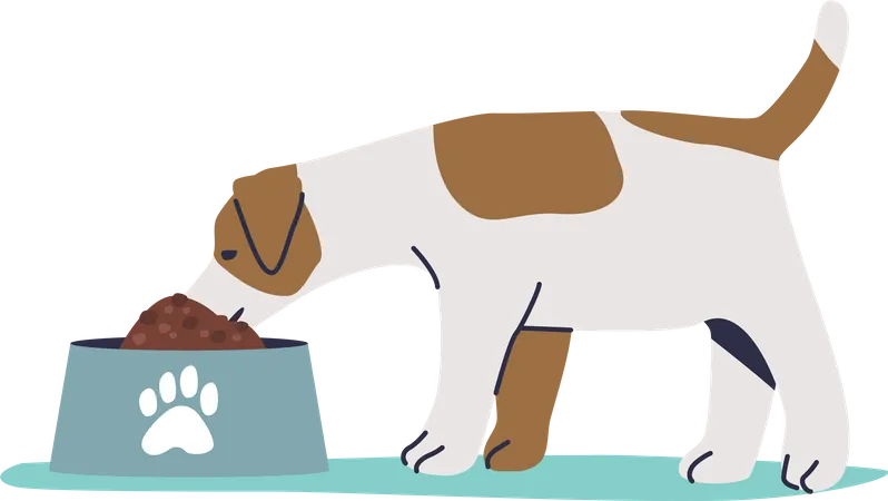 Perro comiendo comida seca  Ilustración