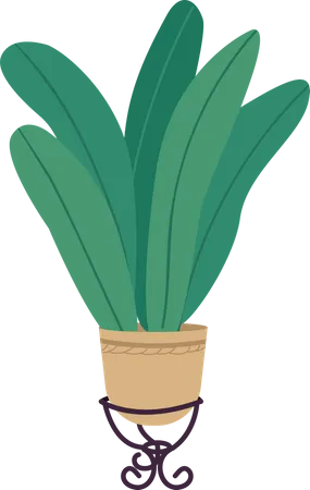 Plant in pot  Illustration