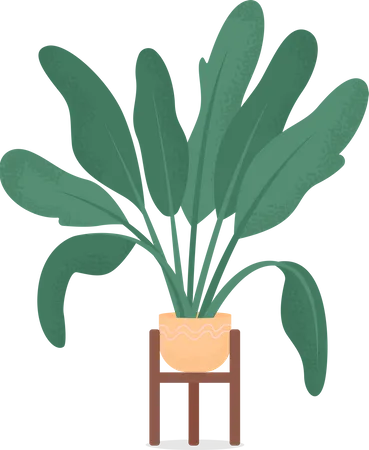 Planta doméstica  Ilustração