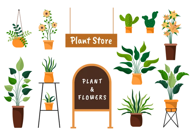 Plants Store  Illustration