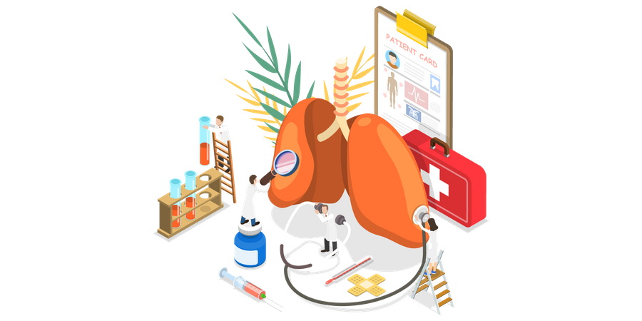 Pulmonary Examination  일러스트레이션