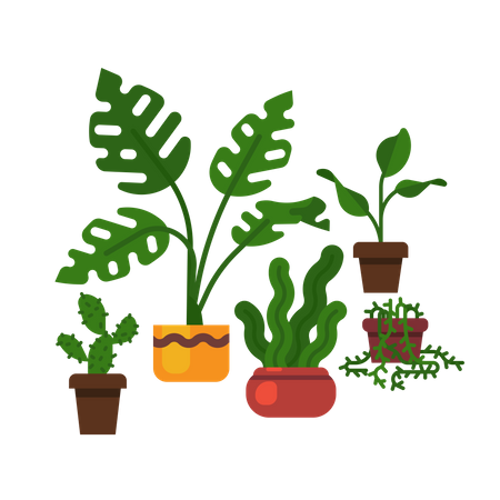 Planta de queijo suíço, sansevieria, cacto e muito mais  Ilustração