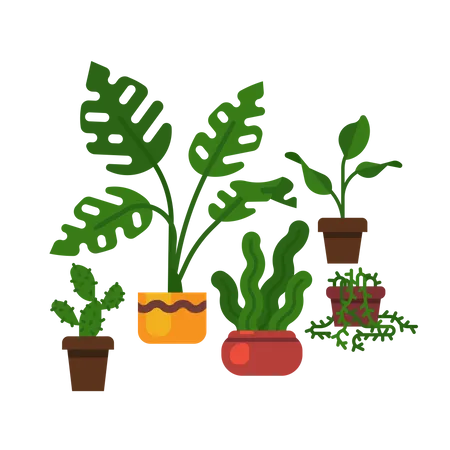 Planta de queijo suíço, sansevieria, cacto e muito mais  Ilustração