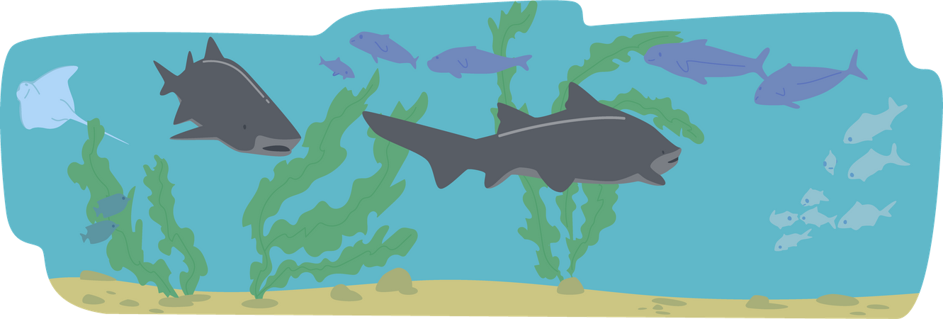 Requins nageant sous l'eau  Illustration