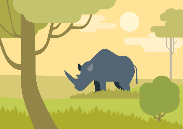 Rhinoceros  Illustration