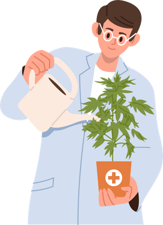 Scientist in uniform watering cannabis plant  Illustration