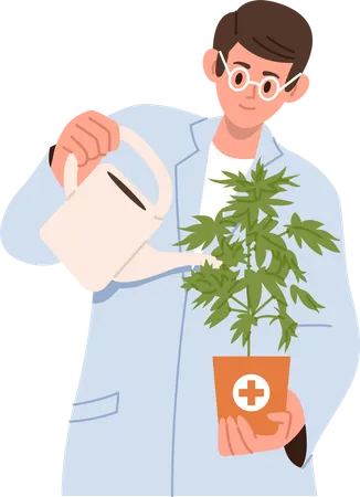 Scientist in uniform watering cannabis plant  Illustration