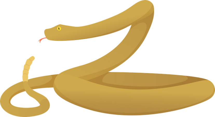 Serpiente  Ilustración