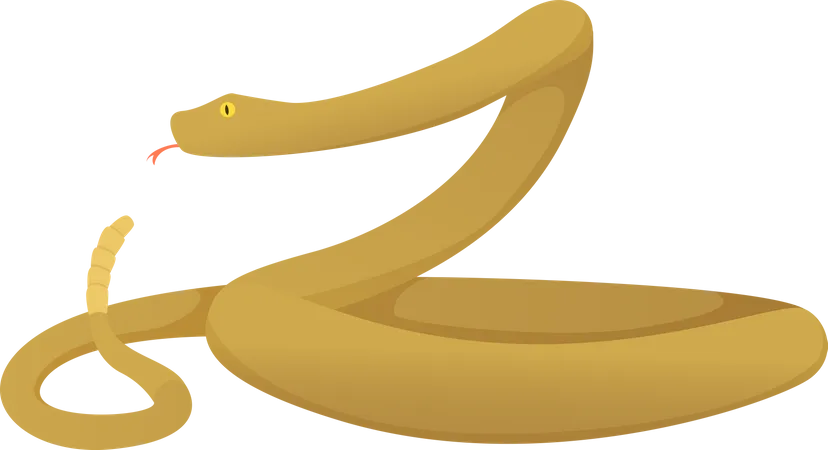 Serpiente  Ilustración