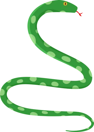 Serpiente  Ilustración