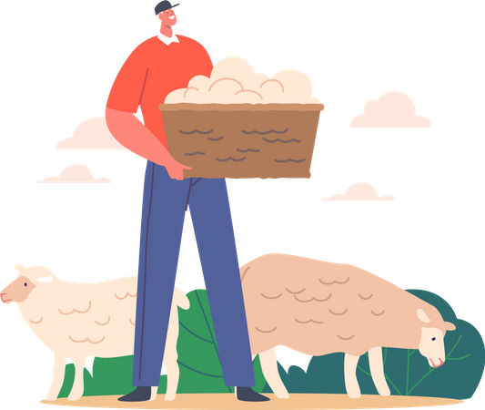 Sheepshearer Holding Basket With Sheep Wool On Livestock  Illustration