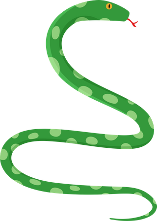 Snake  イラスト