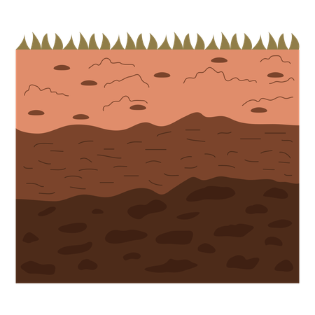 Soil layers  イラスト