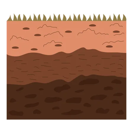 Soil layers  イラスト