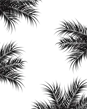 Tropical design with black palm leaves and plants on white background  Illustration