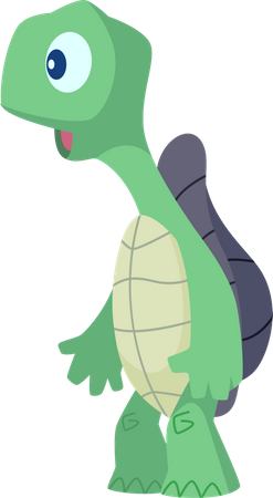 Turtle  Illustration