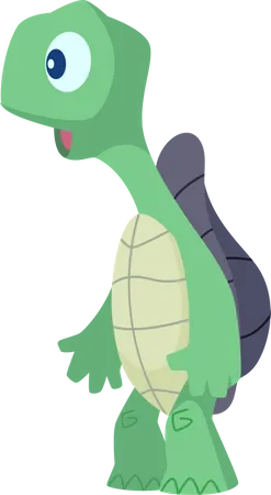 Turtle  Illustration