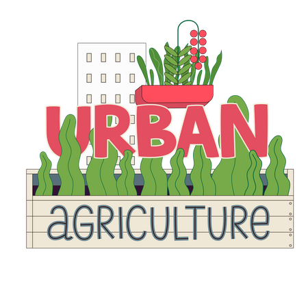 Urban agriculture  Illustration