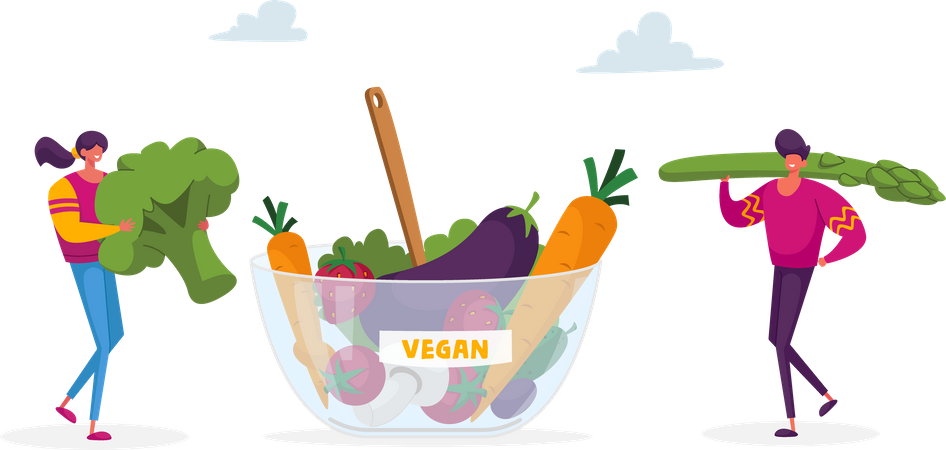 Vegan meal for healthy lifestyle  Illustration